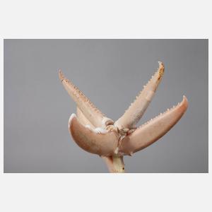 Maritime Installation