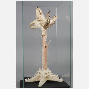 Maritimer Schaukasten