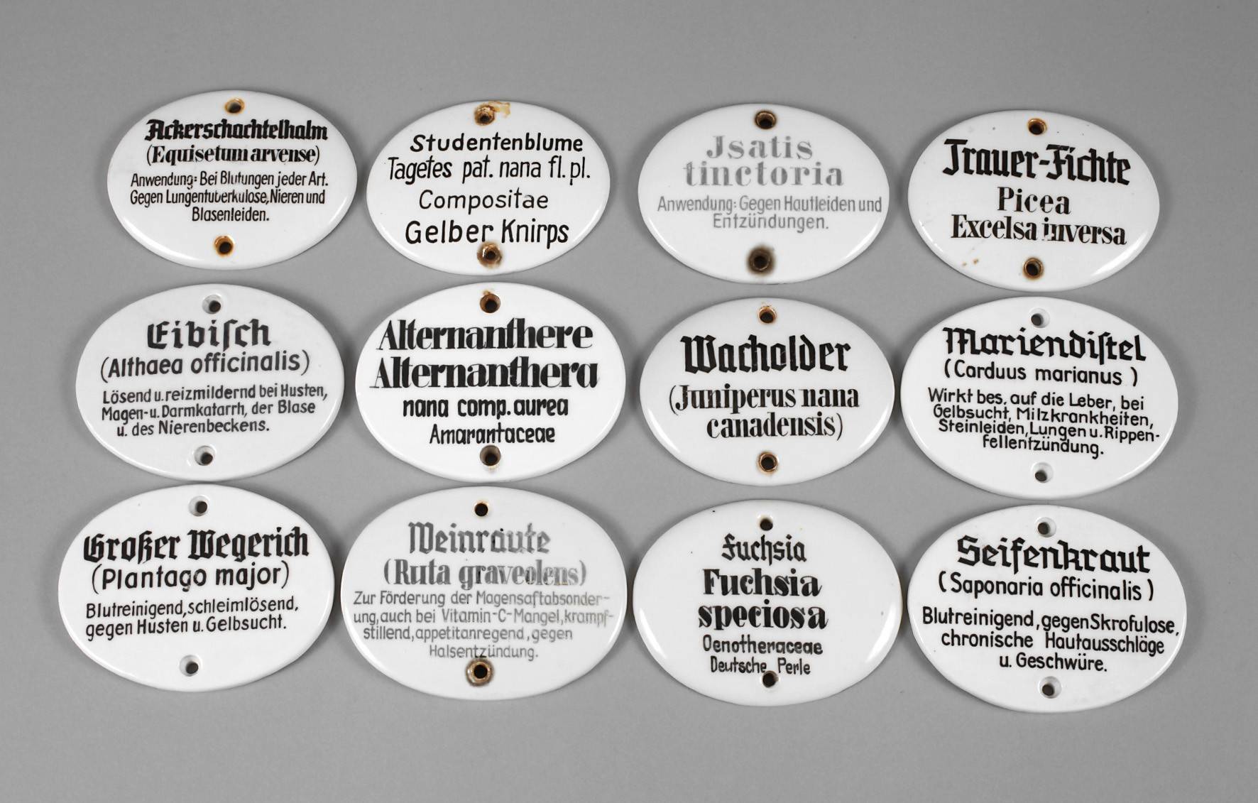 Konvolut Apothekerschilder