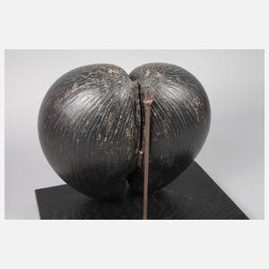 Coco de Mer als Schatulle