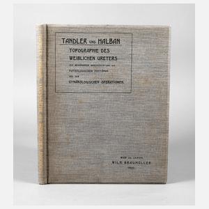 Topographie des weiblichen Uretes