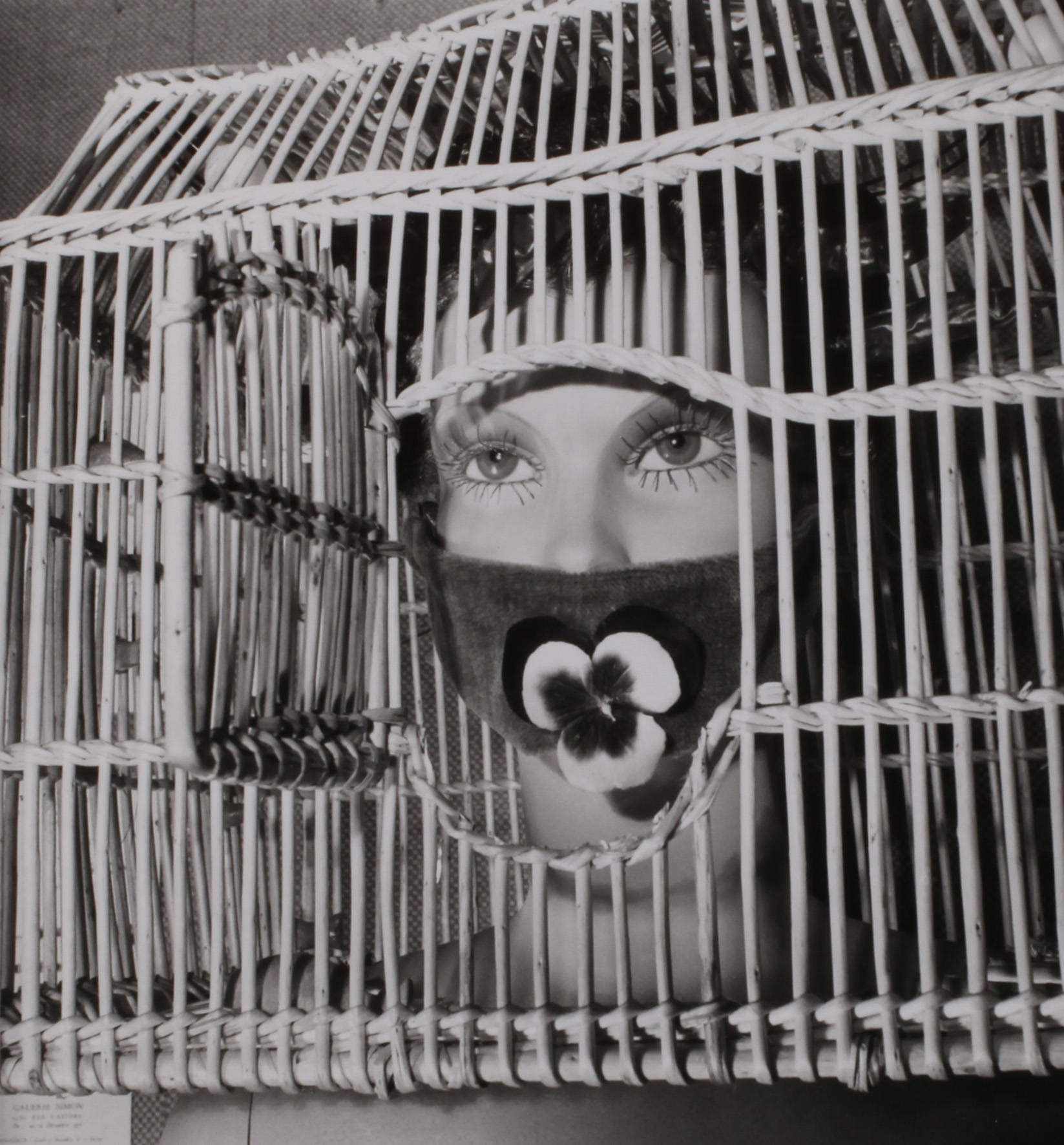 Denise Bellon (1902 bis 1999)