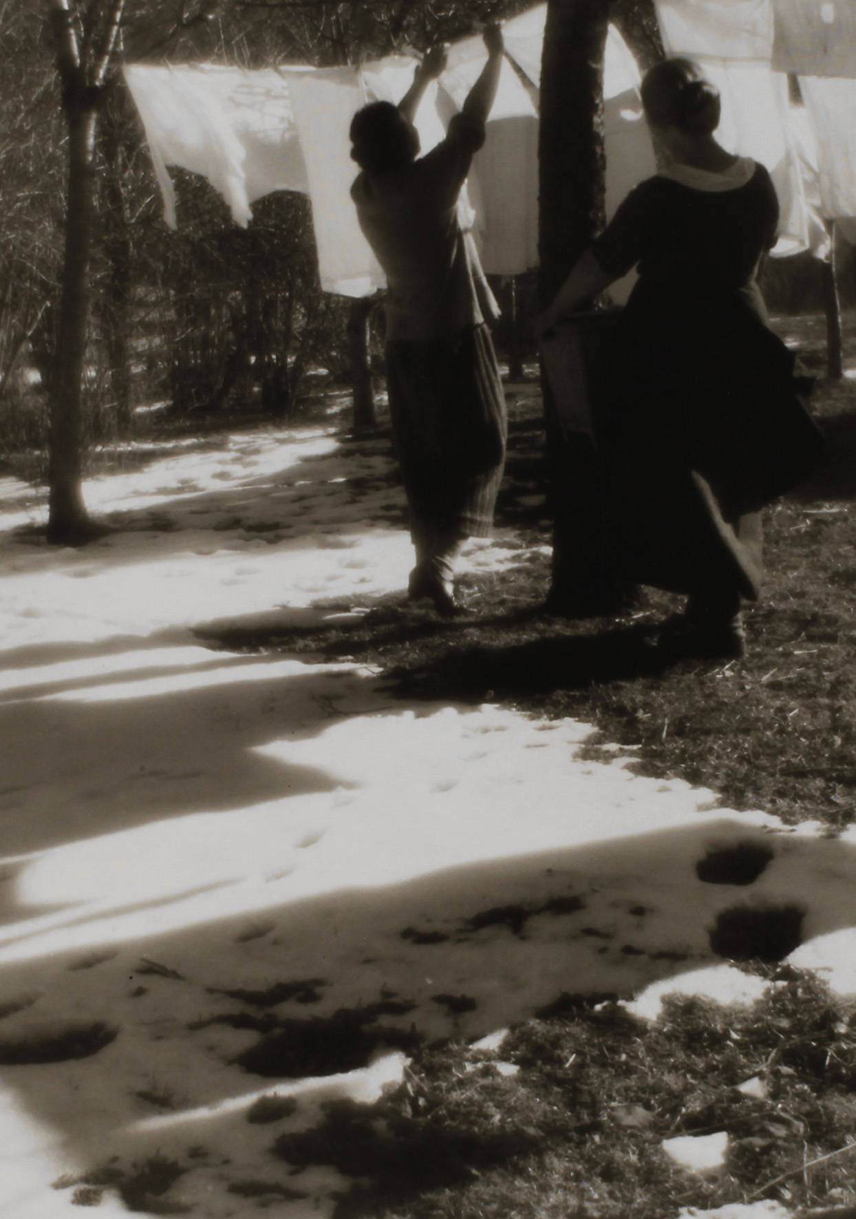 Heinrich Kühn (1866 bis 1944)