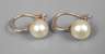 Paar Perlenohrringe