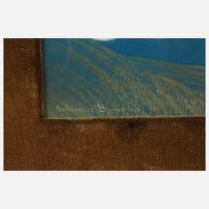 Bildplatte Theodor Schmuz-Baudiss