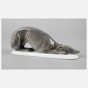 Hutschenreuther Windhund