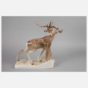 Nymphenburg Hirsch