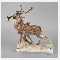 Nymphenburg Hirsch111