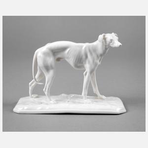 Nymphenburg Windhund