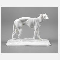 Nymphenburg Windhund111