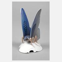 Rosenthal Schmetterling111