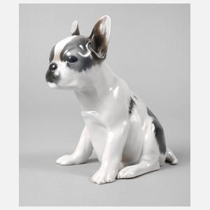 Rosenthal Französische Bulldogge