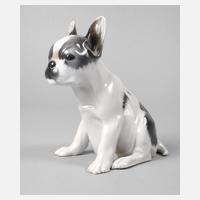 Rosenthal Französische Bulldogge111
