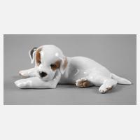 Rosenthal ”Liegender Terrierwelpe”111