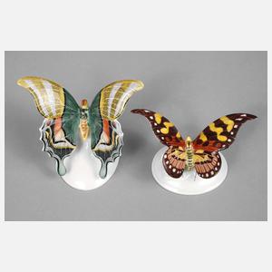 Rosenthal zwei Schmetterlinge
