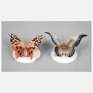 Rosenthal zwei Schmetterlinge