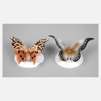 Rosenthal zwei Schmetterlinge111
