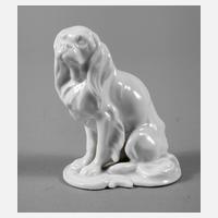 Rosenthal Hund111