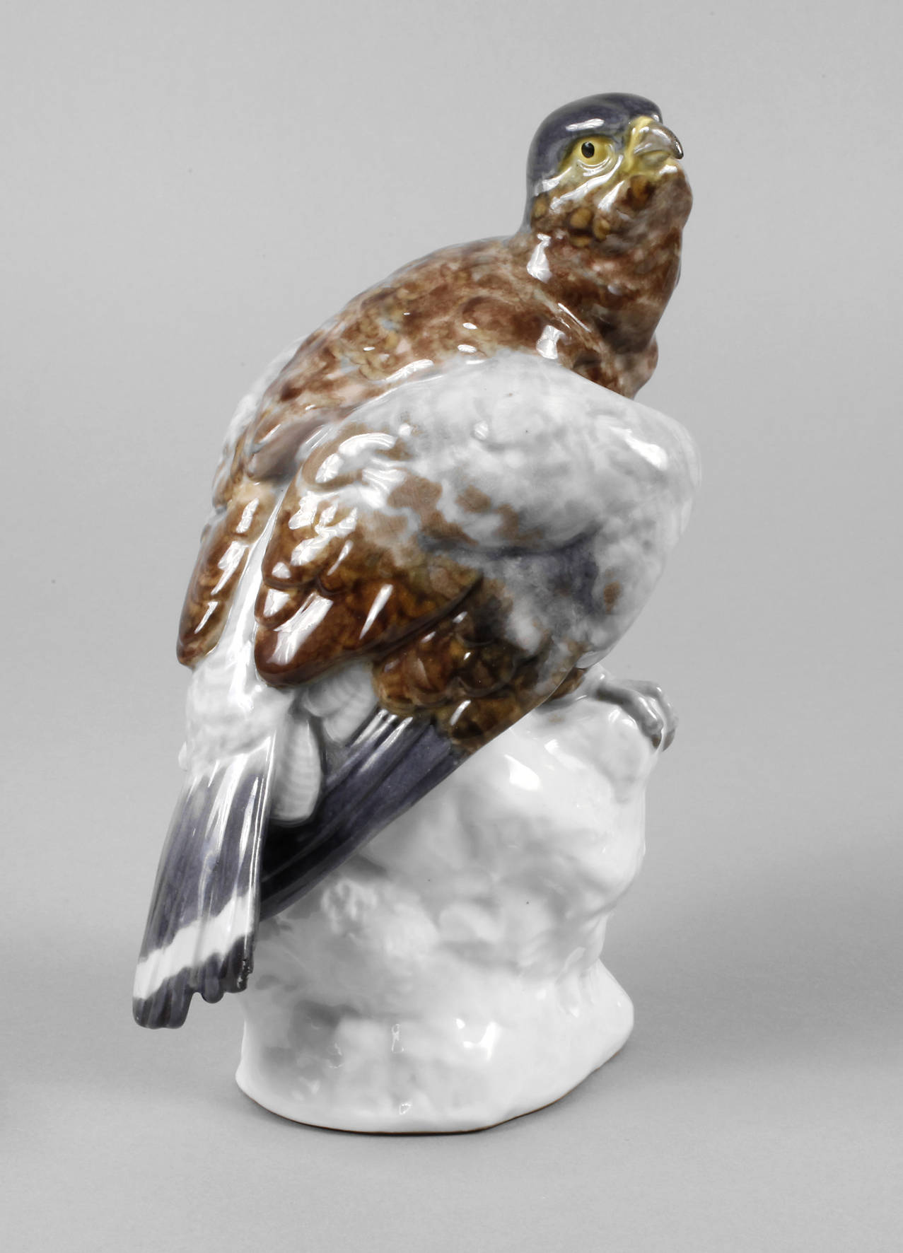 Volkstedt junger Falke