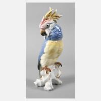 Volkstedt Papagei111