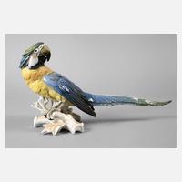 Volkstedt Papagei111