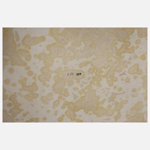 Silber Zucker-/Sahneset