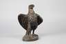 Bronze Seeadler