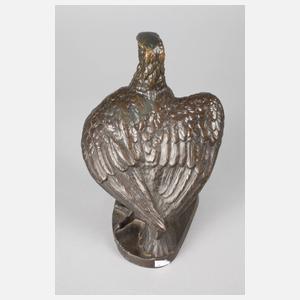 Bronze Seeadler
