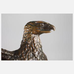 Bronze Seeadler