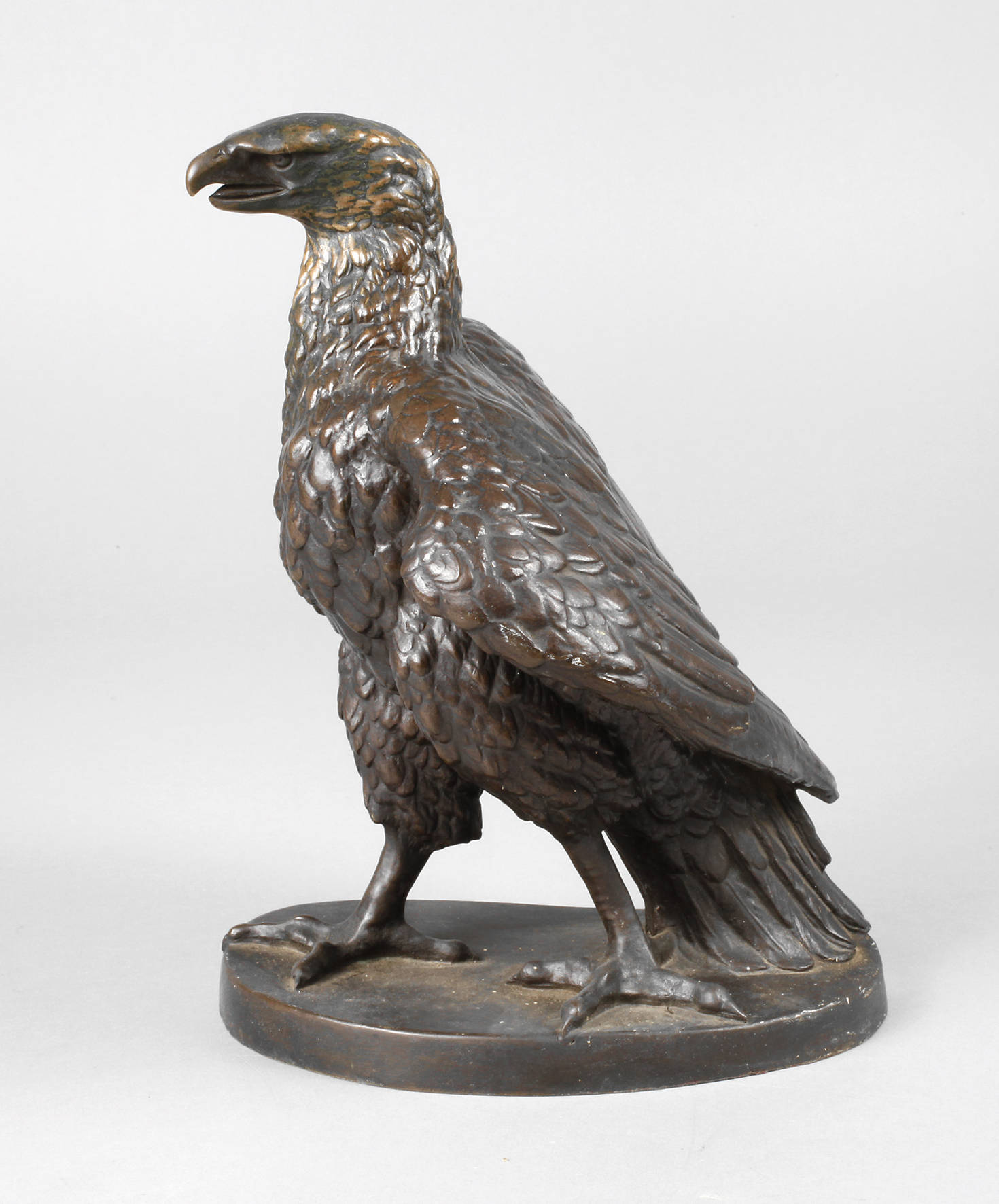 Bronze Seeadler
