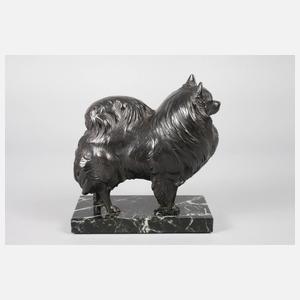 Stehender Zwergspitz