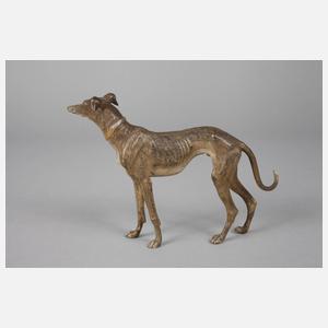 Franz Xaver Bergmann, Greyhound