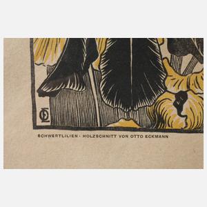 Prof. Otto Eckmann, ”Schwertlilien”