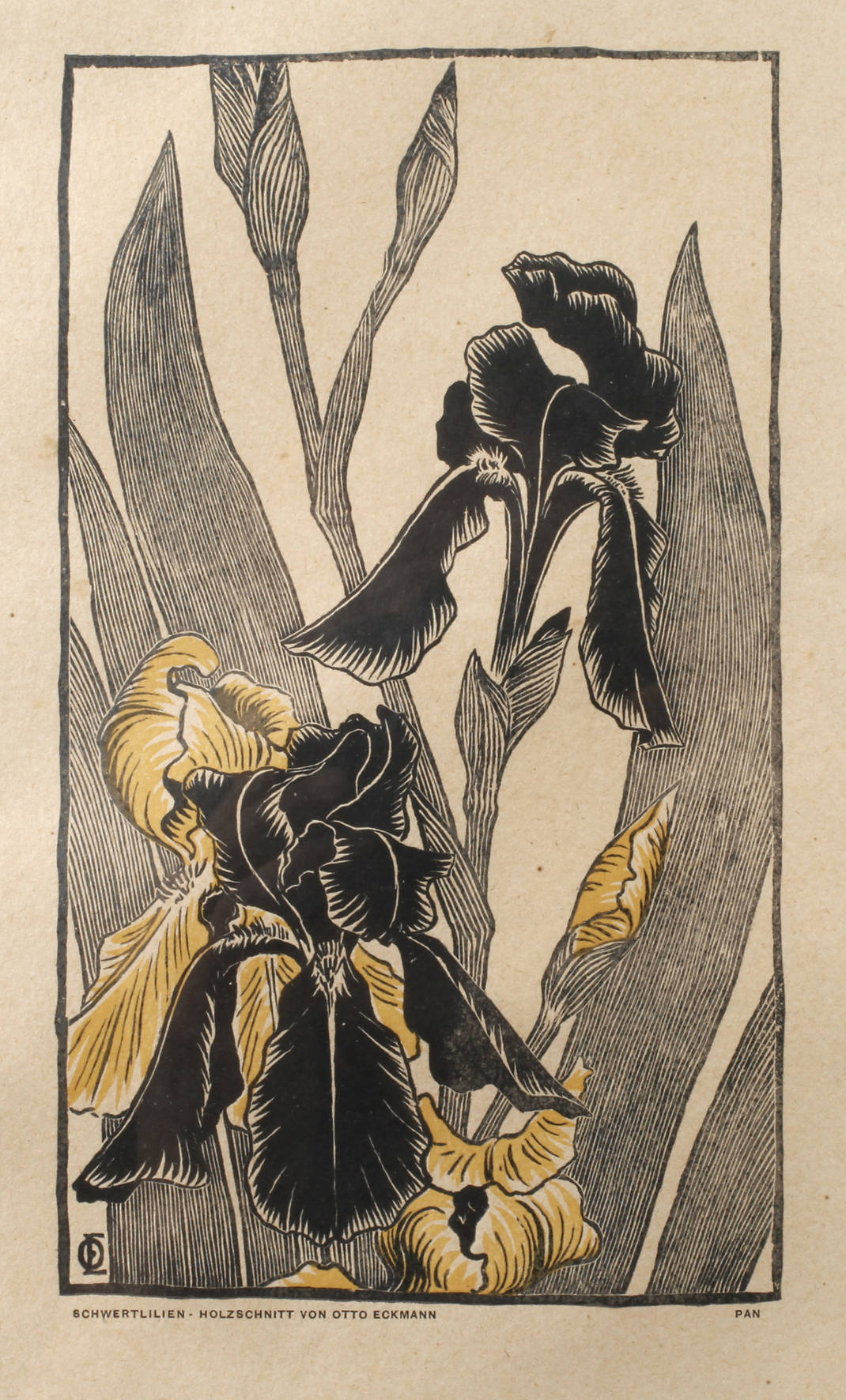 Prof. Otto Eckmann, ”Schwertlilien”
