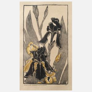 Prof. Otto Eckmann, ”Schwertlilien”