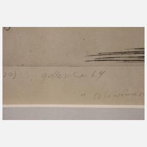 Prof. Dieter Goltzsche, ”Schweineschlachten”