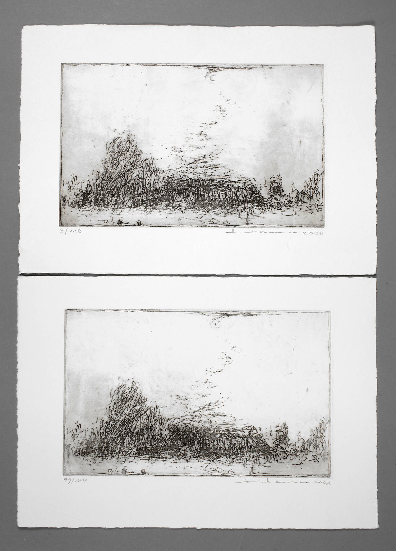 Hartwig Hamer, Gebüsch