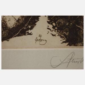 Dr. Walter Herzog, ”Steinstrand”