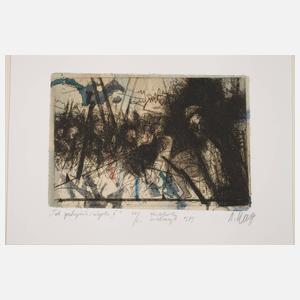 Andrzej Kasprzak, Grafikkonvolut