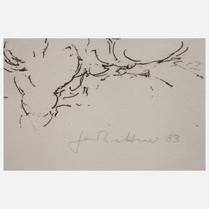 Prof. Gerhard Kettner, Höllensturz