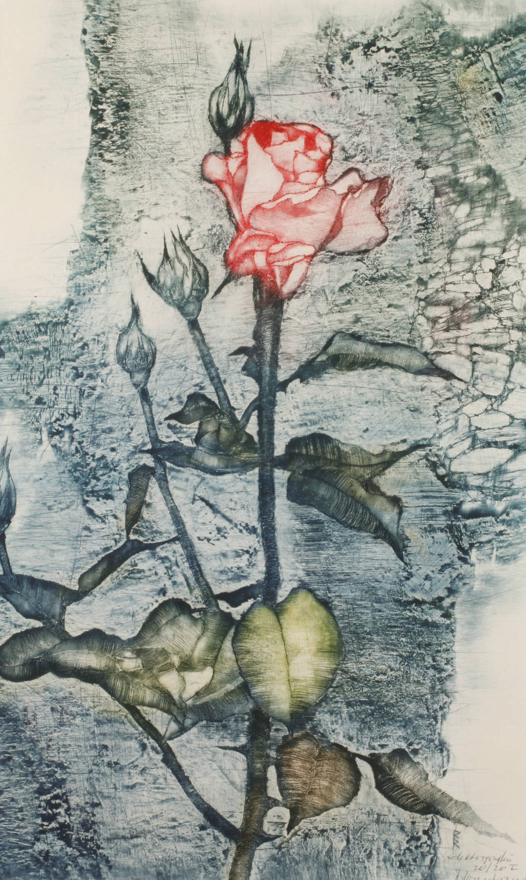 Rupert Rosenkranz, Rosenzweig