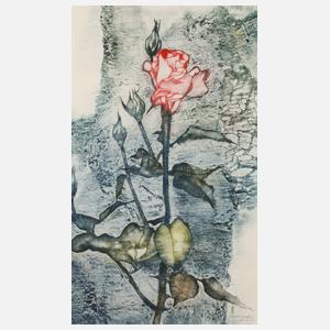 Rupert Rosenkranz, Rosenzweig