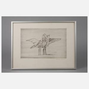 Gotthelf Schlotter, Pelikane