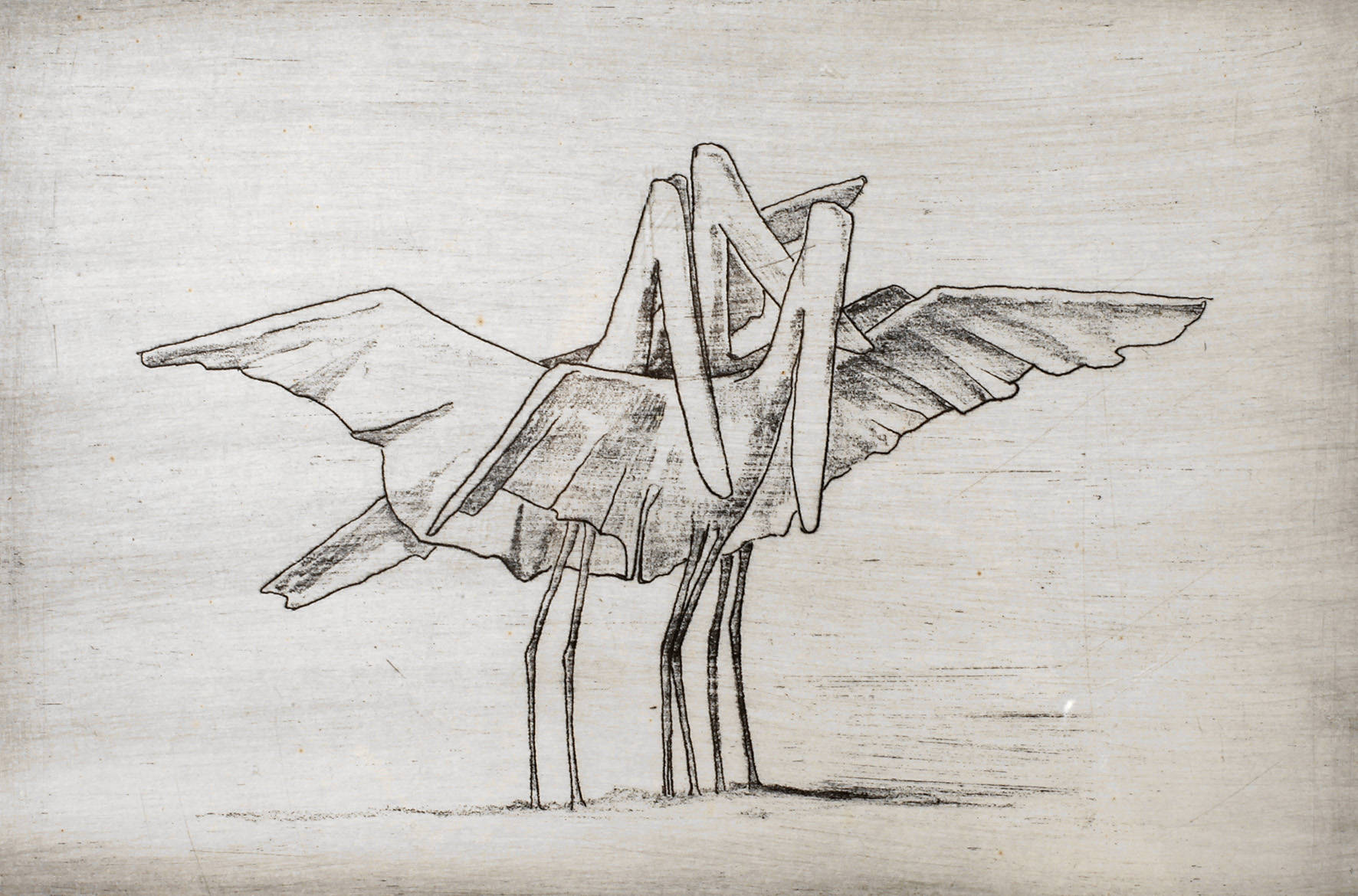 Gotthelf Schlotter, Pelikane