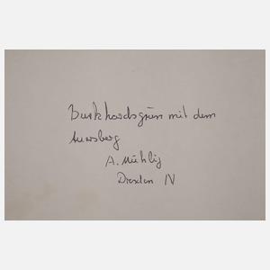 Albert Mühlig, ”Burkhardtsgrün mit dem Auersberg”