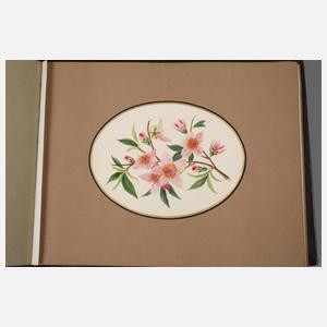 Album mit Entwürfe für Porzellanmalerei