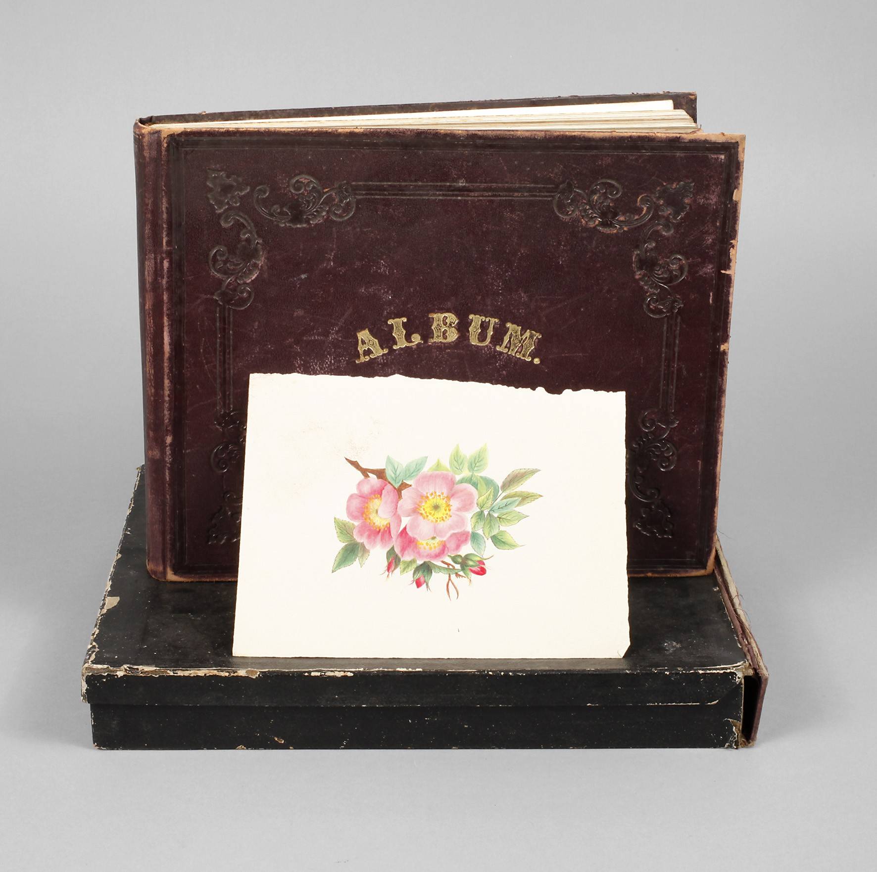 Album mit Entwürfe für Porzellanmalerei