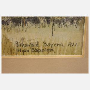 Prof. Hugo Bäppler, Ansicht Birkenfeld in Bayern