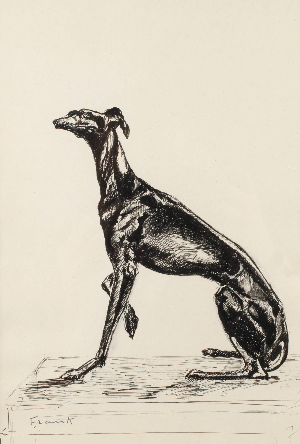 Frank, Sitzendes Windspiel