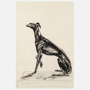 Frank, Sitzendes Windspiel